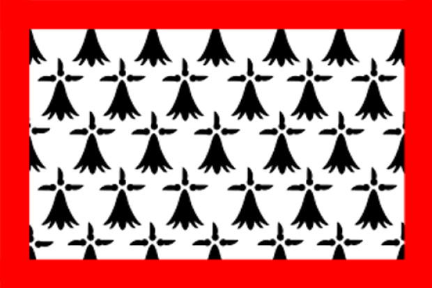 Bandeira Limousin