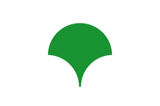 Bandeira Tóquio (região metropolitana)