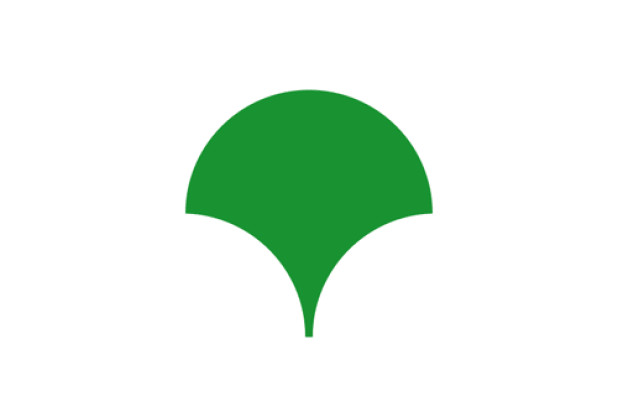 Bandeira Tóquio (região metropolitana)