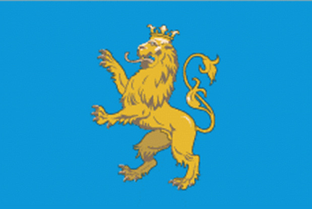 Bandeira Lviv, Bandeira Lviv