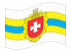 Rivne-Bandeira ondulante