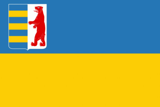 Bandeira Transcarpátia, Bandeira Transcarpátia