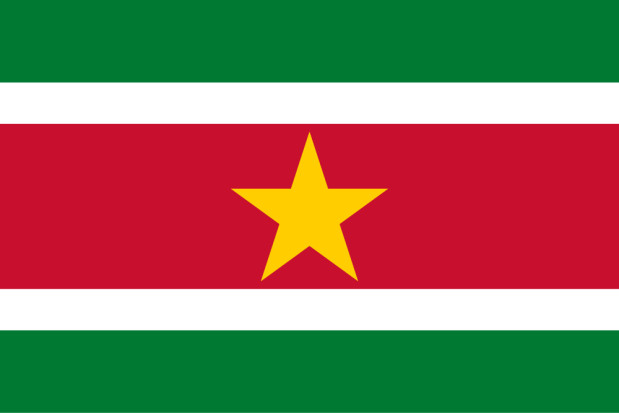 Bandeira Suriname, Bandeira Suriname