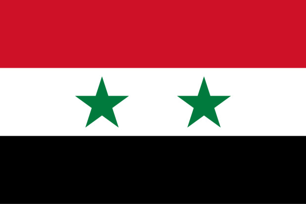Bandeira Síria, Bandeira Síria