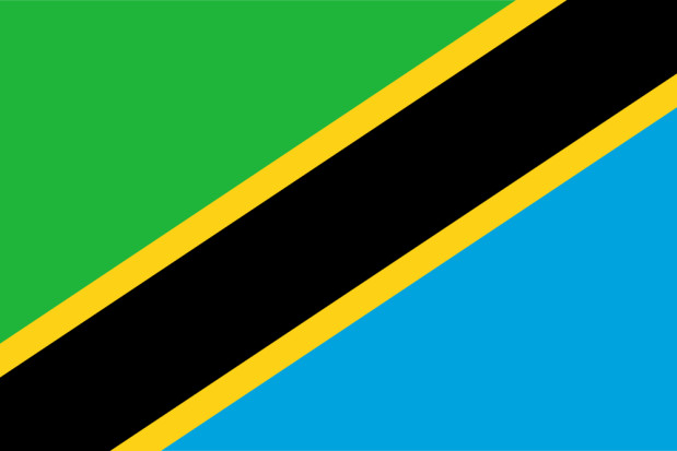 Bandeira Tanzânia, Bandeira Tanzânia