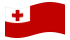 Tonga-Bandeira ondulante