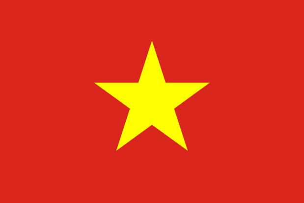 Bandeira Vietname, Bandeira Vietname