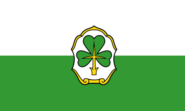 Bandeira Fürth, Bandeira Fürth