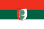 Bandeira Augsburgo