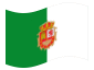 Bandeira animada Fuerteventura