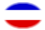 Schleswig-Holstein (província prussiana)-Bandeira em vinheta oval