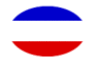 Schleswig-Holstein (província prussiana)-Bandeira em vinheta oval